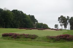 Swinley Forest 7th Fairway